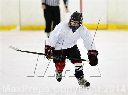 Thumbnail 1 in Exceptional Seniors Game (Section 1) photogallery.