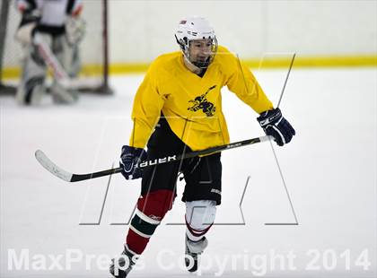 Thumbnail 1 in Exceptional Seniors Game (Section 1) photogallery.