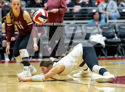 Thumbnail 2 in Iola vs. Crawford (UIL 2A Volleyball Division II Final) photogallery.