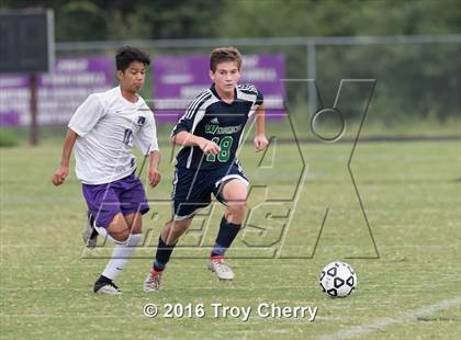 Thumbnail 2 in Weddington @ Porter Ridge photogallery.