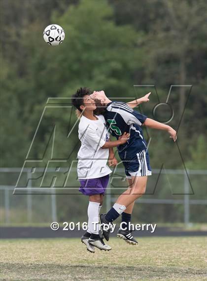 Thumbnail 1 in Weddington @ Porter Ridge photogallery.