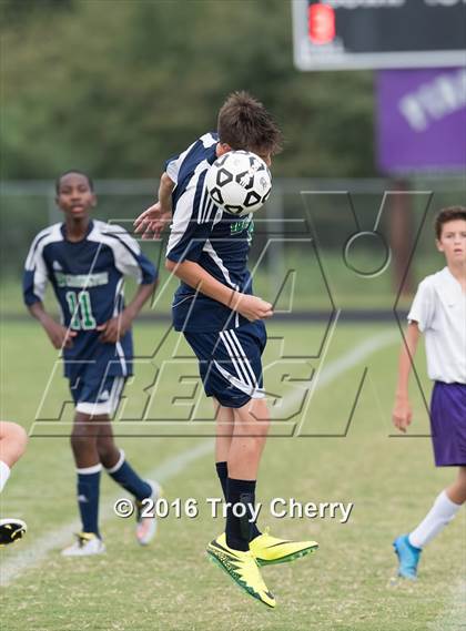 Thumbnail 3 in Weddington @ Porter Ridge photogallery.