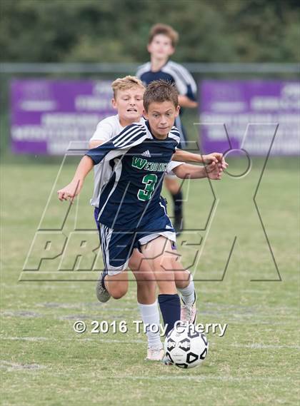 Thumbnail 3 in Weddington @ Porter Ridge photogallery.