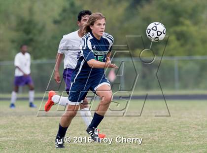 Thumbnail 3 in Weddington @ Porter Ridge photogallery.