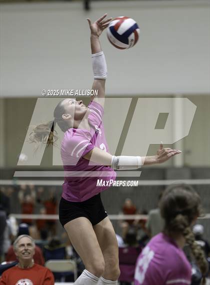 Thumbnail 1 in Soddy Daisy @ Baylor photogallery.
