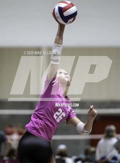Thumbnail 2 in Soddy Daisy @ Baylor photogallery.