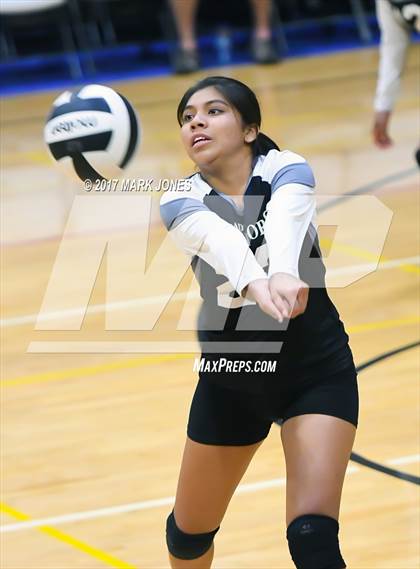 Thumbnail 1 in San Pasqual Valley @ Anthem Prep photogallery.