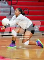 Photo from the gallery "South View @ Seventy-First"