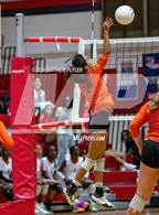 Photo from the gallery "South View @ Seventy-First"