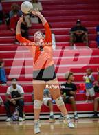 Photo from the gallery "South View @ Seventy-First"