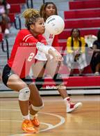 Photo from the gallery "South View @ Seventy-First"