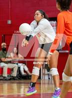 Photo from the gallery "South View @ Seventy-First"