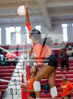 Photo from the gallery "South View @ Seventy-First"
