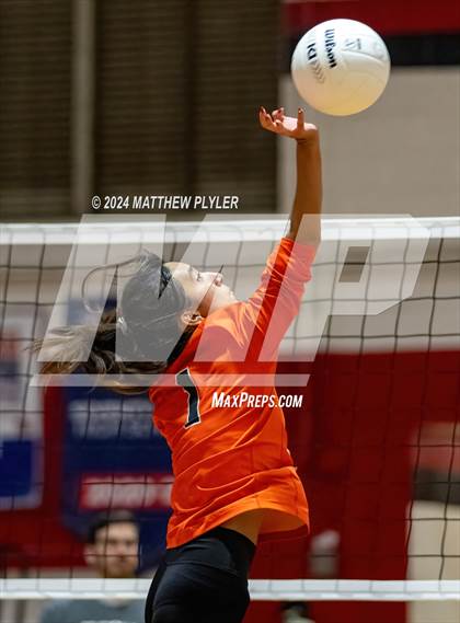 Thumbnail 2 in South View @ Seventy-First photogallery.