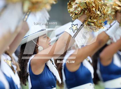 Thumbnail 2 in Ellison @ Stony Point photogallery.
