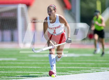 Thumbnail 2 in Crestwood vs. Bloomsburg (Sue Peters Memorial Tournament) photogallery.