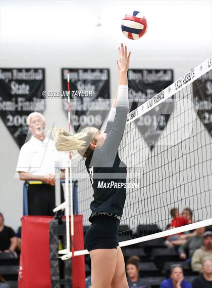 Thumbnail 1 in Strawn @ Graford photogallery.