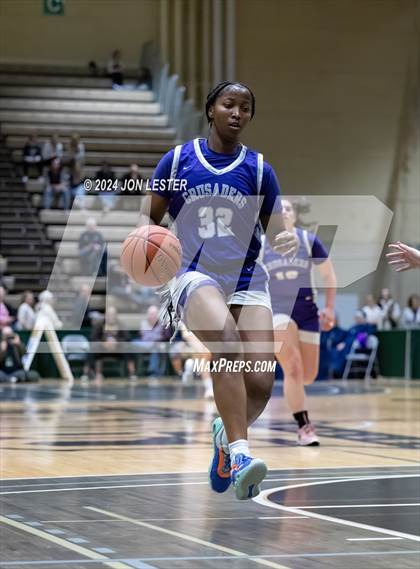 Thumbnail 3 in Catholic Central vs. Walter Panas (NYSPHSAA Class A Final) photogallery.