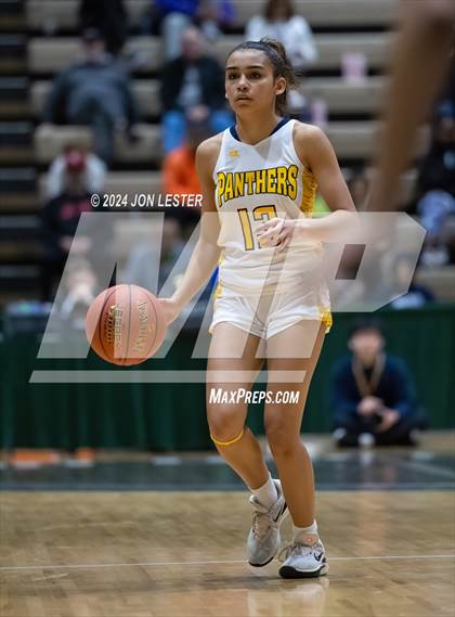 Thumbnail 1 in Catholic Central vs. Walter Panas (NYSPHSAA Class A Final) photogallery.