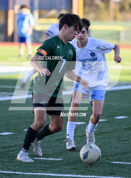 Thumbnail 1 in Reagan [Ronald] vs Johnson photogallery.