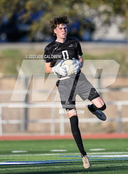 Thumbnail 2 in Reagan [Ronald] vs Johnson photogallery.