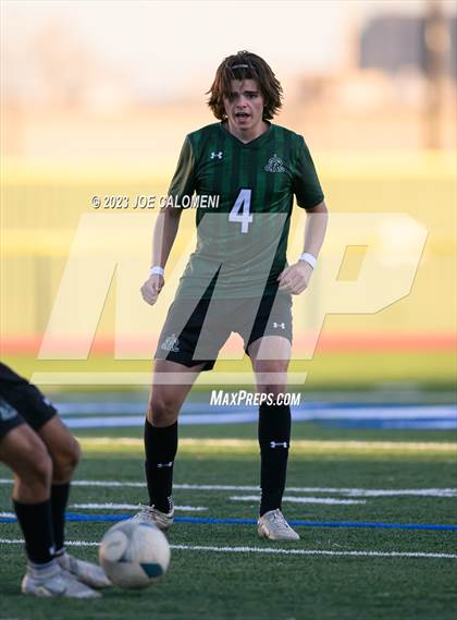 Thumbnail 2 in Reagan [Ronald] vs Johnson photogallery.