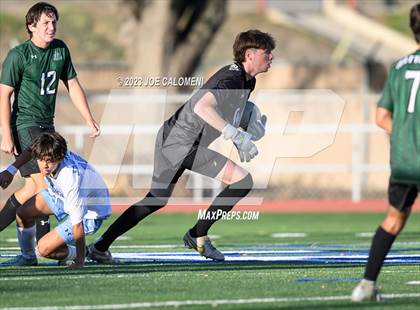 Thumbnail 2 in Reagan [Ronald] vs Johnson photogallery.