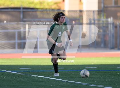 Thumbnail 1 in Reagan [Ronald] vs Johnson photogallery.