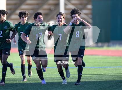 Thumbnail 2 in Reagan [Ronald] vs Johnson photogallery.