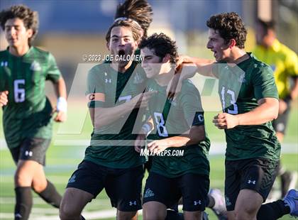 Thumbnail 2 in Reagan [Ronald] vs Johnson photogallery.