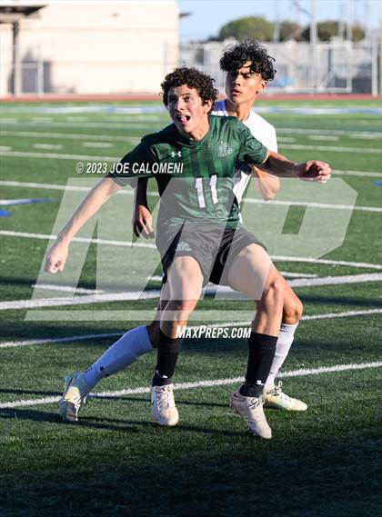 Thumbnail 3 in Reagan [Ronald] vs Johnson photogallery.