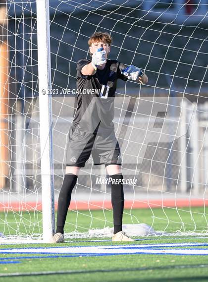 Thumbnail 1 in Reagan [Ronald] vs Johnson photogallery.