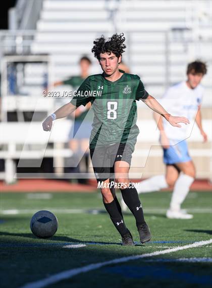 Thumbnail 2 in Reagan [Ronald] vs Johnson photogallery.