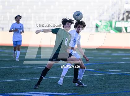 Thumbnail 1 in Reagan [Ronald] vs Johnson photogallery.