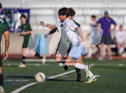 Thumbnail 2 in Reagan [Ronald] vs Johnson photogallery.