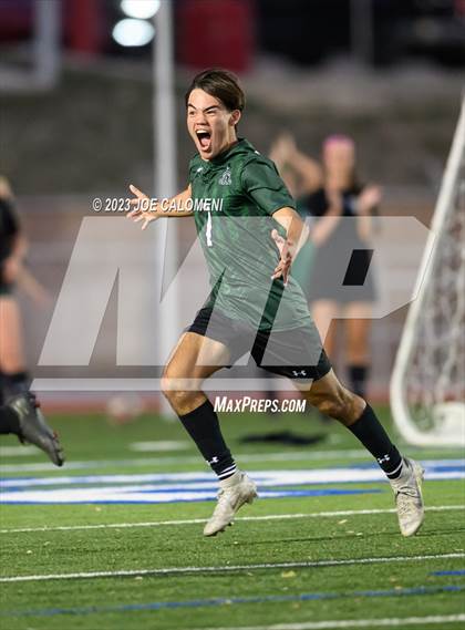 Thumbnail 2 in Reagan [Ronald] vs Johnson photogallery.