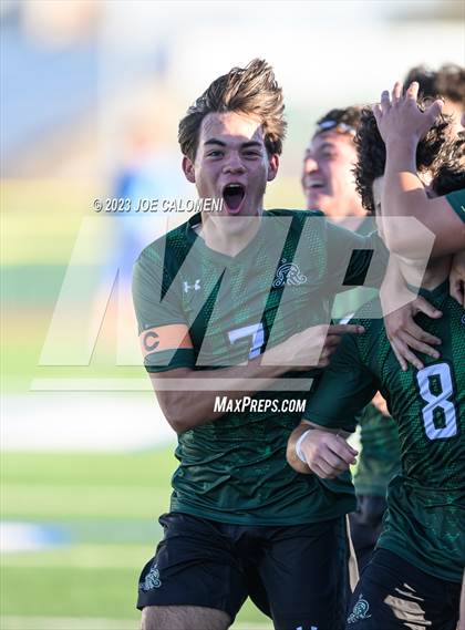 Thumbnail 3 in Reagan [Ronald] vs Johnson photogallery.