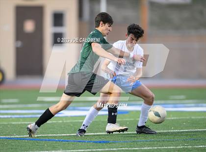 Thumbnail 2 in Reagan [Ronald] vs Johnson photogallery.
