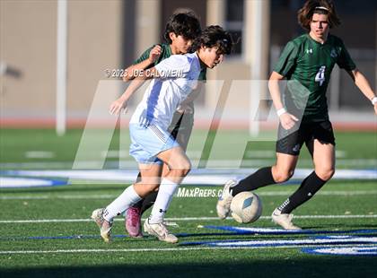Thumbnail 3 in Reagan [Ronald] vs Johnson photogallery.
