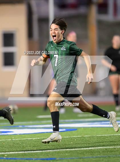 Thumbnail 1 in Reagan [Ronald] vs Johnson photogallery.