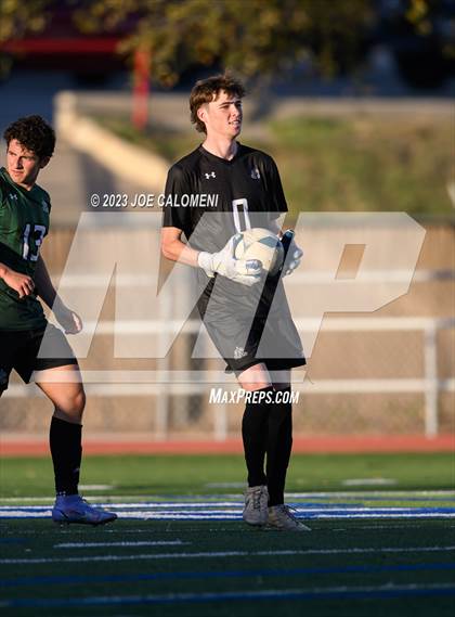 Thumbnail 1 in Reagan [Ronald] vs Johnson photogallery.