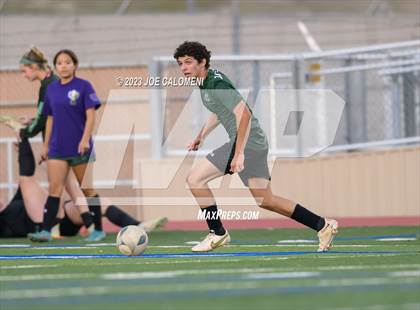 Thumbnail 1 in Reagan [Ronald] vs Johnson photogallery.