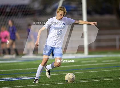 Thumbnail 1 in Reagan [Ronald] vs Johnson photogallery.
