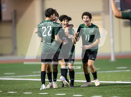 Thumbnail 2 in Reagan [Ronald] vs Johnson photogallery.