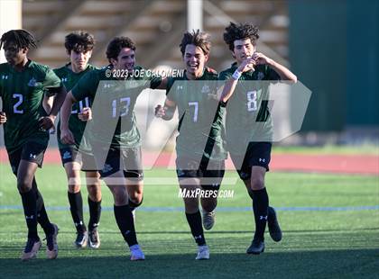 Thumbnail 1 in Reagan [Ronald] vs Johnson photogallery.