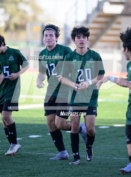 Thumbnail 1 in Reagan [Ronald] vs Johnson photogallery.