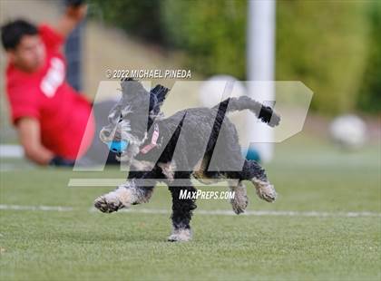 Thumbnail 2 in Calvary Chapel vs Savanna photogallery.