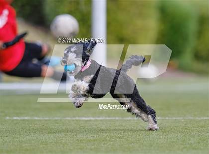 Thumbnail 1 in Calvary Chapel vs Savanna photogallery.