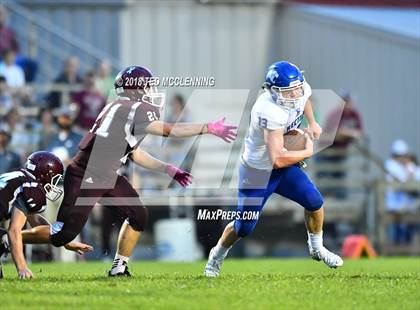 Thumbnail 1 in Hector @ Perryville photogallery.