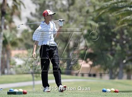 Thumbnail 1 in CIF Southern Section Boys Golf Championships photogallery.